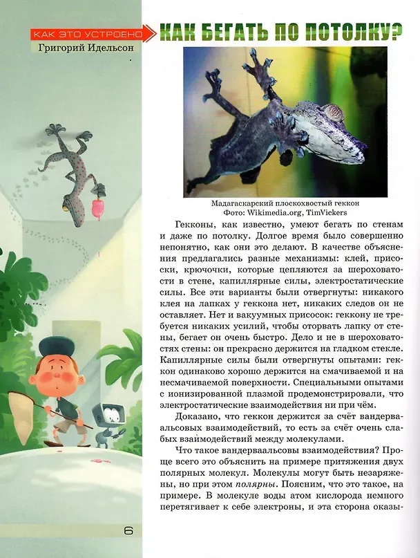 Книга Квантик. Альманах для любознательных. Выпуск 23 () — 6