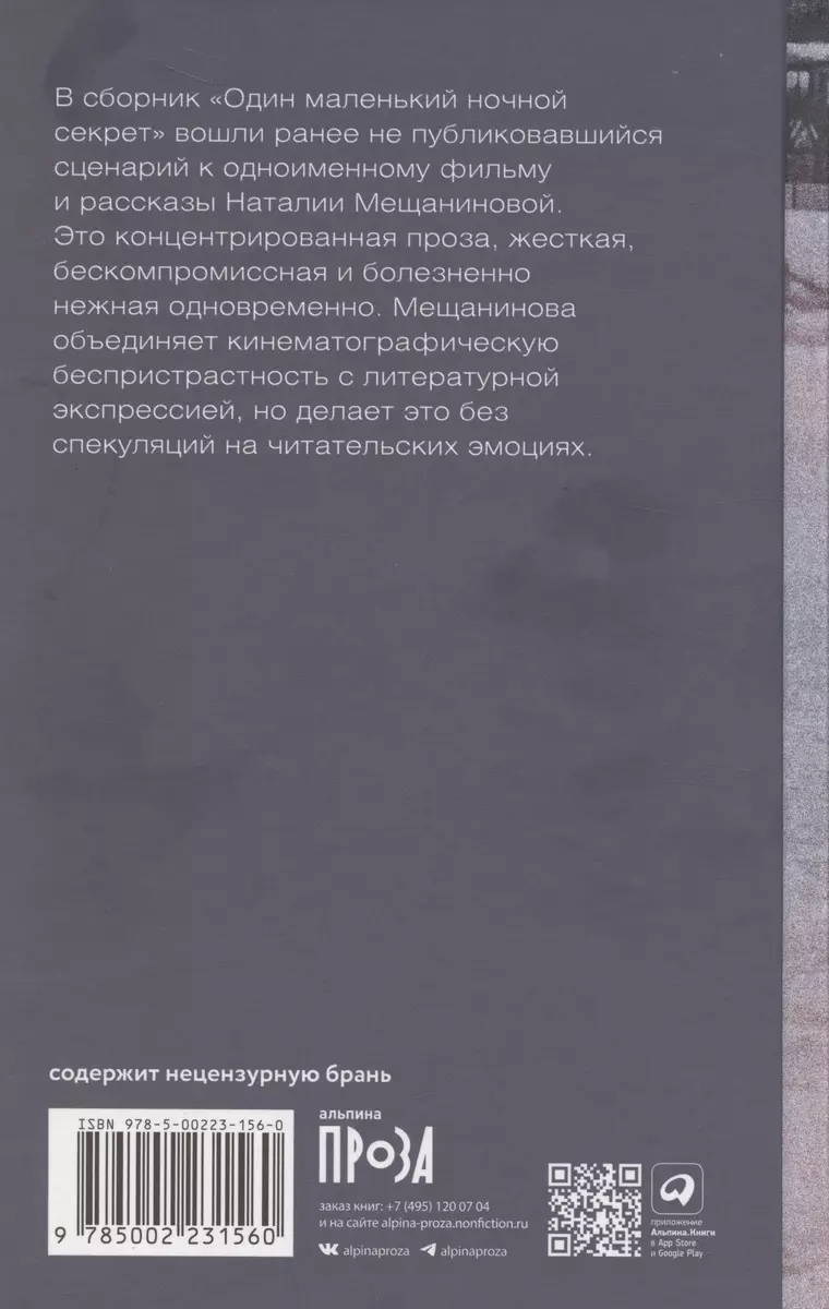 Один маленький ночной секрет (Наталия Мещанинова) - купить книгу с  доставкой в интернет-магазине «Читай-город». ISBN: 978-5-00223-156-0