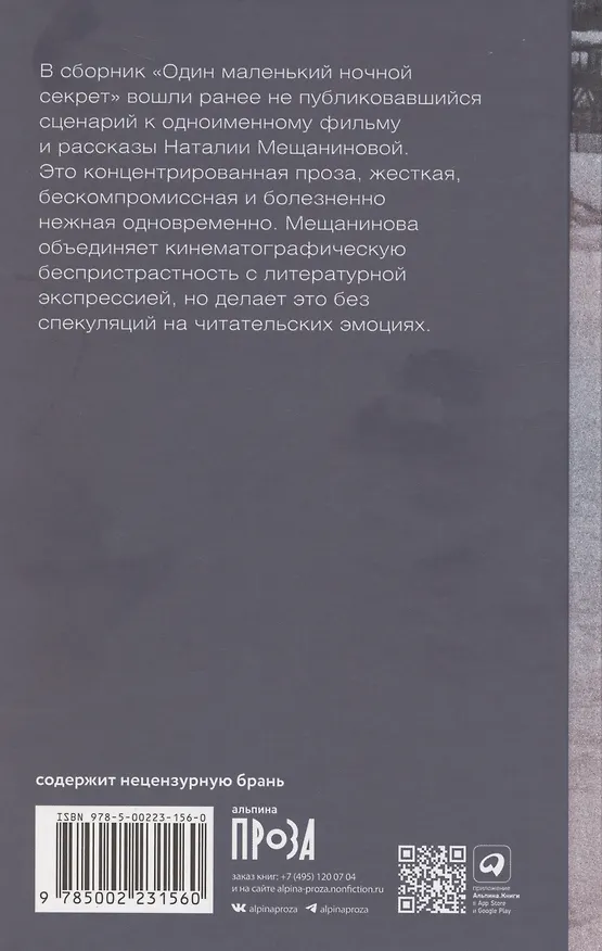 Книга Один маленький ночной секрет (Наталия Мещанинова) — 2