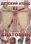 Детский атлас анатомии — 2380070 — 1