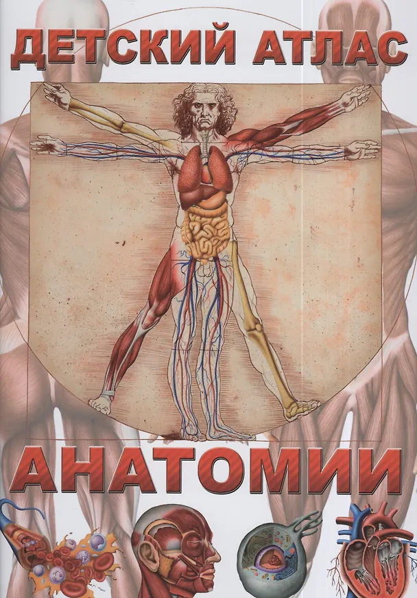 Книга Детский атлас анатомии (Гуиди Винченцо) — 1