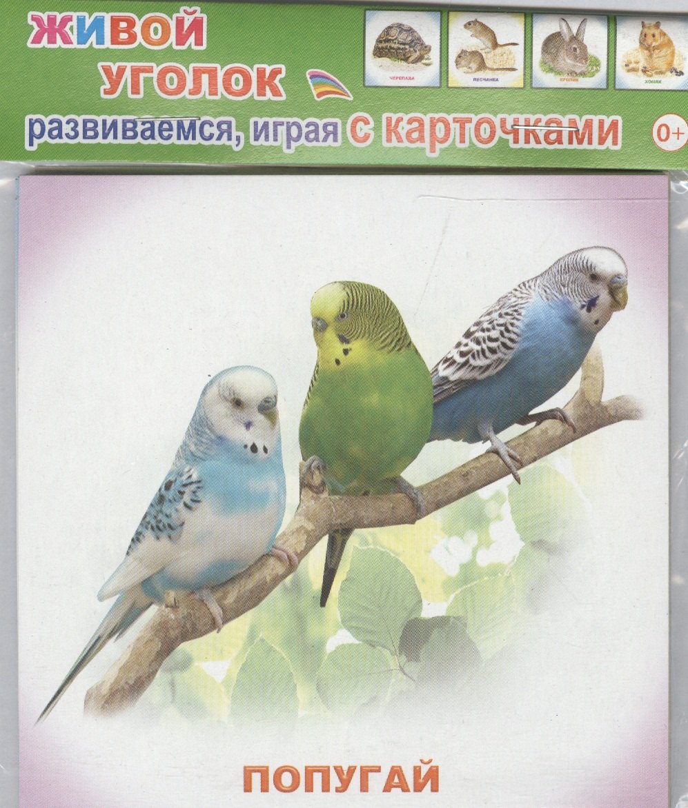 

Обучающие карточки Живой уголок (упаковка) (978-5-91282-671-9)
