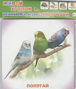 Обучающие карточки Живой уголок (упаковка) (978-5-91282-671-9)