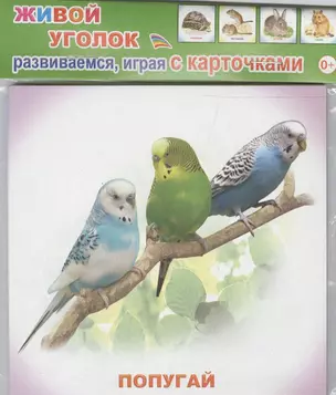 Обучающие карточки Живой уголок (упаковка) (978-5-91282-671-9) — 2563394 — 1