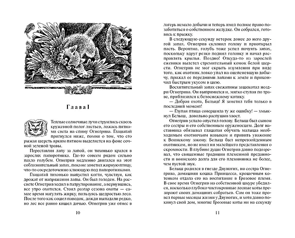 Книга Бушующая стихия (Эрин Хантер) — 5