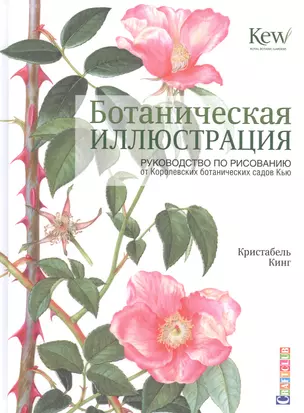 Ботаническая иллюстрация: руководство по рисованиюот Королевских ботанических садов Кью — 2601116 — 1