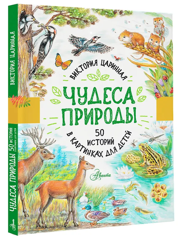 Книга Чудеса природы. 50 историй в картинках для детей (Виктория Царинная) — 4
