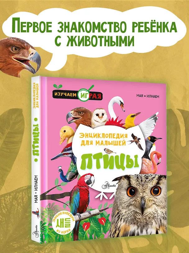 Книга Птицы () — 4