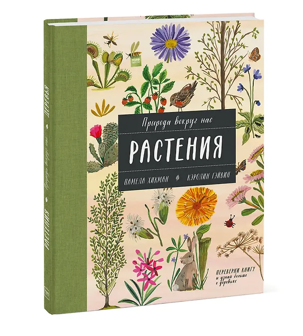 Книга Природа вокруг нас: Растения. Деревья (Памела Хикман) — 4