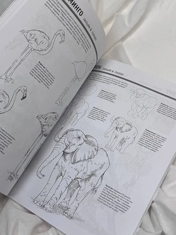 Книга Основы рисования (А. Степанова) — 9
