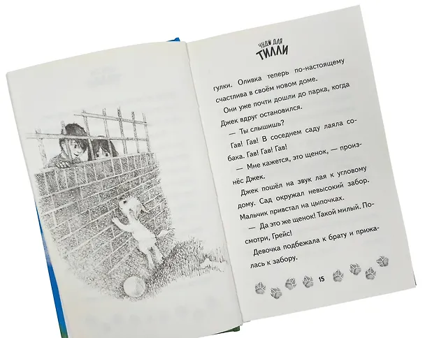 Книга Чудо для Тилли (выпуск 1) (Линда Чапмен) — 6