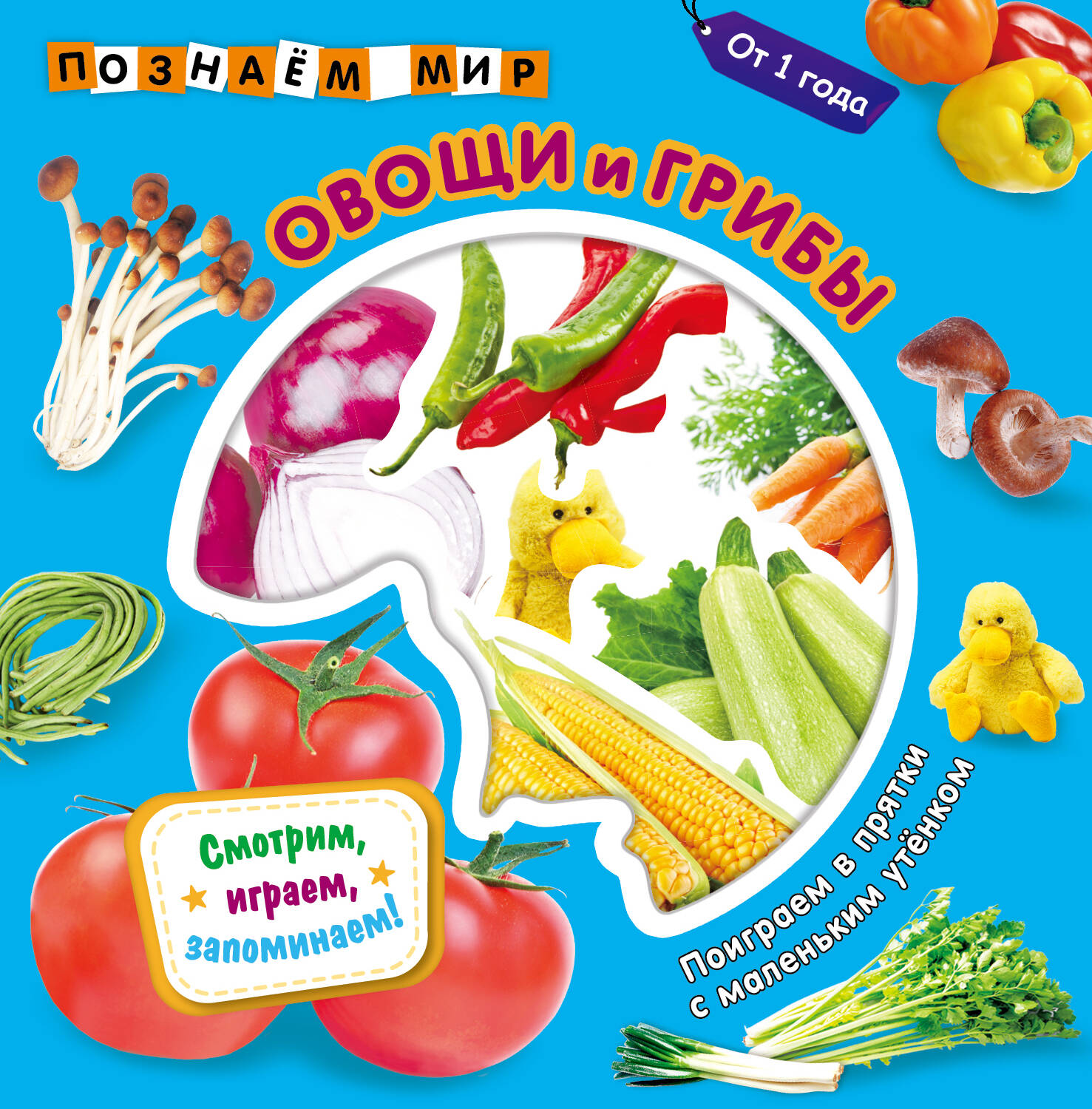 None Овощи и грибы. Познаем мир