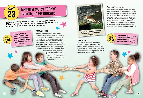 Книга Всё об окружающем мире с научной точки зрения (Лайза Риган) — 7