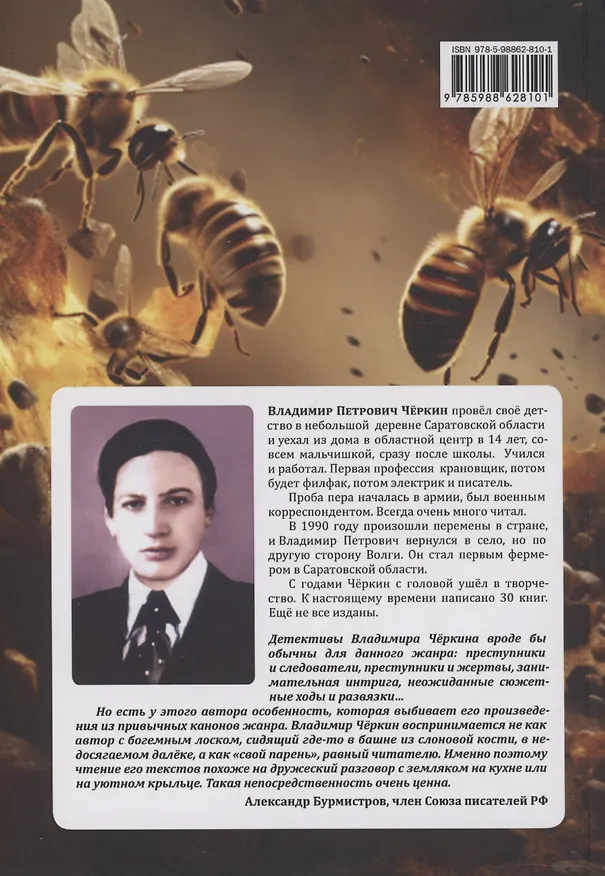 Книга Ошибка мёртвых шершней (Владимир Чёркин) — 2