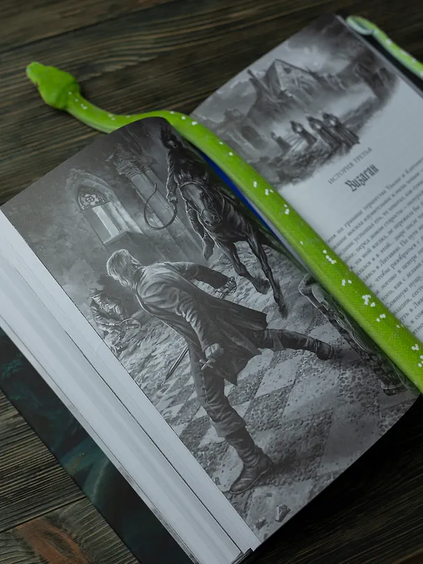 Книга Аутодафе. Коллекционное издание (Алексей Пехов) — 11