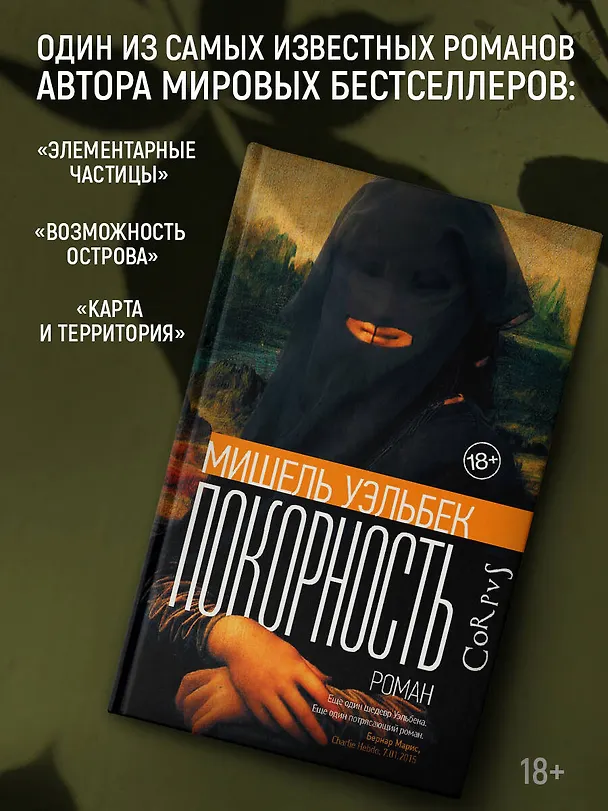 Книга Покорность (Мишель Уэльбек) — 4
