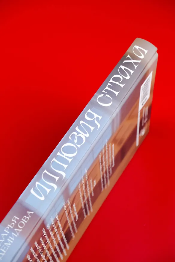 Книга Иллюзия страха (Дарья Демидова) — 10