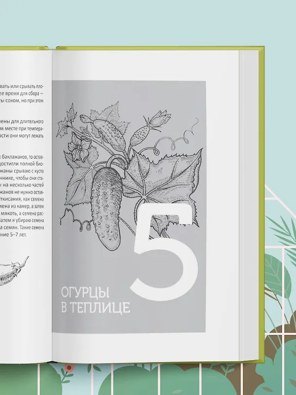 Книга Теплица без ошибок. Все, что нужно знать, чтобы получить ранний и богатый урожай (Виктория Радзевская) — 11
