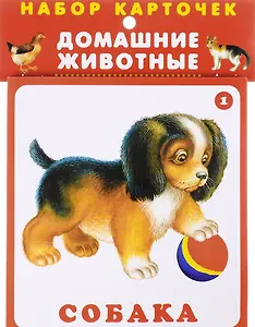 Домашние животные