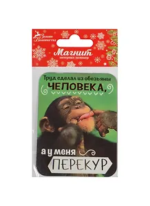Магнит Обезьяна Труд сделал из обезьяны человека 6х8 (1047588)
