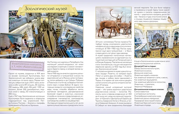 Книга Первые экскурсии по музеям Санкт-Петербурга (Елена Котова) — 14