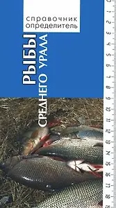 Рыбы среднего Урала (Справочник-определитель). Богданов В. (Сократ)
