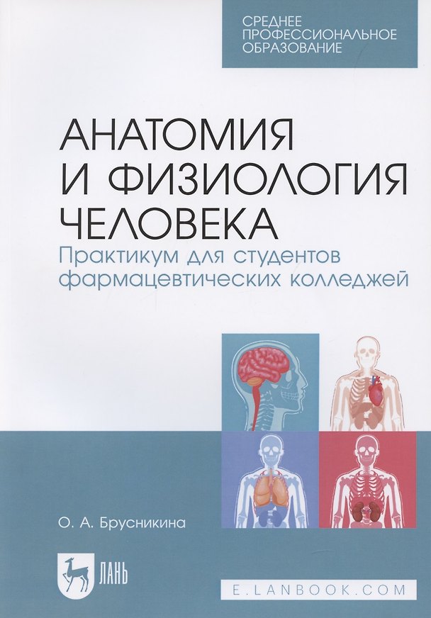 Книга Анатомия и физиология человека. Практикум для студентов фармацевтических колледжей (Ольга Брусникина) — 1