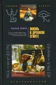 Жизнь в древнем Египте