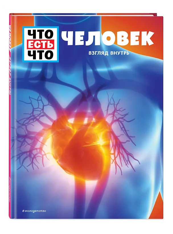 Книга ЧЕЛОВЕК. Взгляд внутрь (Сабрина Рахлей) — 5