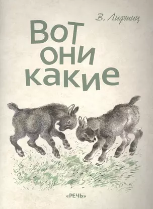 Вот они какие — 2497582 — 1