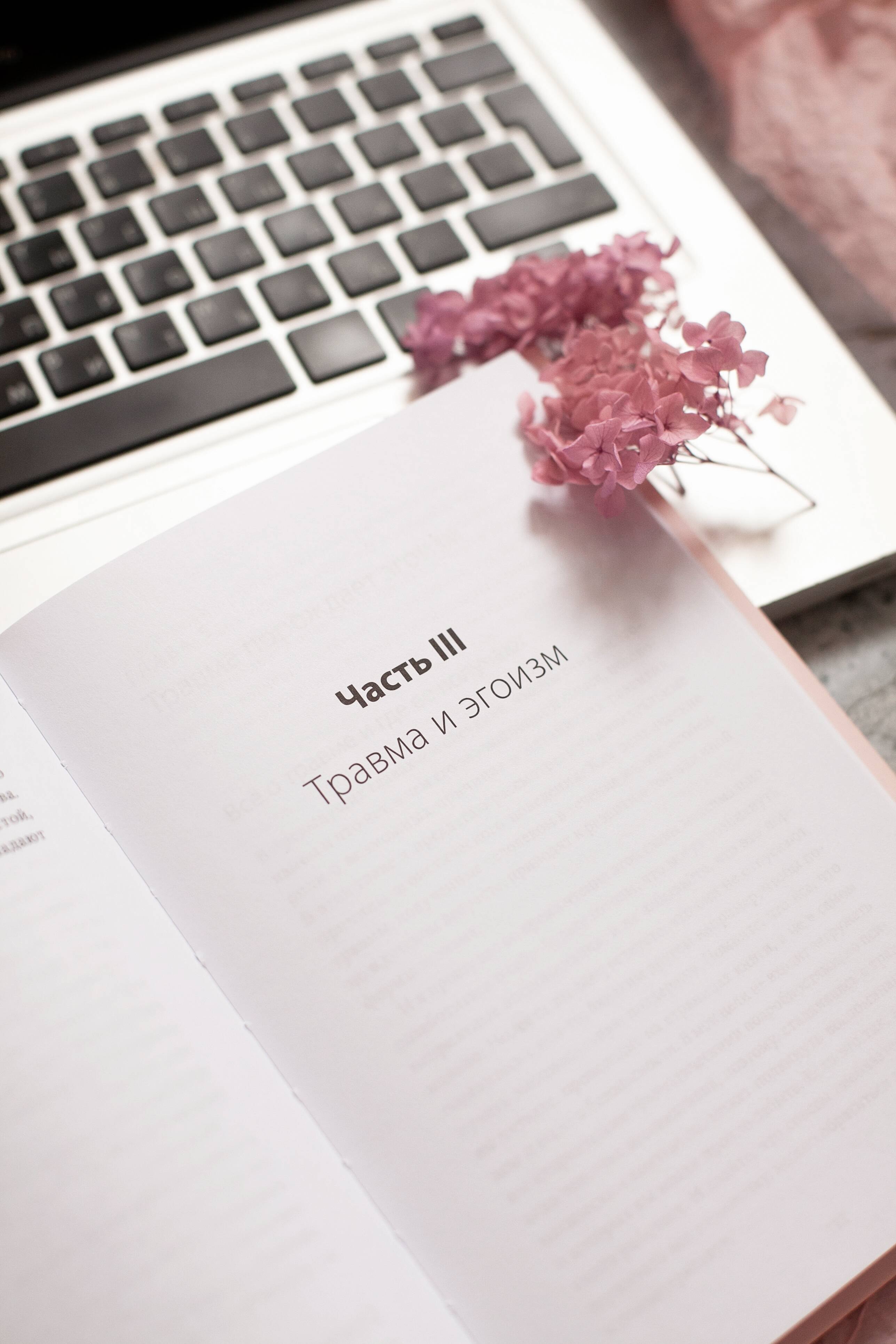 Изображение бумажной книги