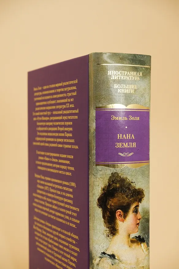 Книга Нана. Земля (Эмиль Золя) — 11