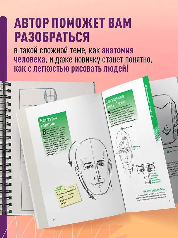 Книга Учимся рисовать человеческие пропорции (Кристофер Харт) — 7