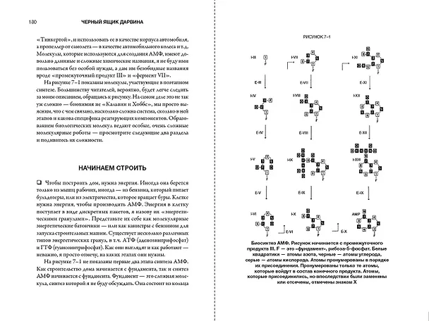 Книга Черный ящик Дарвина: Биохимический вызов теории эволюции (Майкл Бихи) — 6