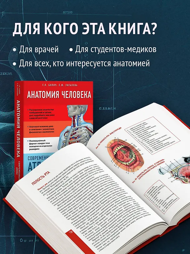 Книга Анатомия человека. Современный атлас с подробными иллюстрациями (Елена Зигалова, Габриэль Билич) — 9