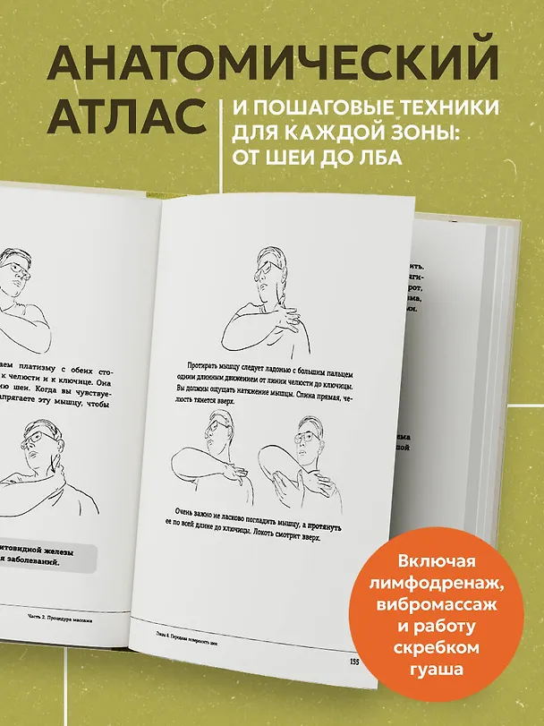 Книга Ваша красота зависит от мышц лица. Как с помощью самомассажа вернуть молодость и сияние в любом возрасте (Рафаэль Багаутдинов) — 8