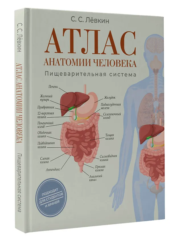 Книга Атлас анатомии человека. Пищеварительная система (Сергей Лёвкин) — 4