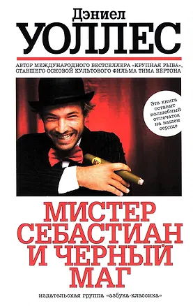 Книга Мистер Себастиан и черный маг: Роман (Дэниел Уоллес)