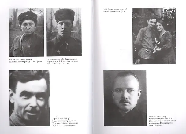 Книга Партизаны Брянского леса: какими они были. 1941-1943 годы (Валерий Кучер) — 4