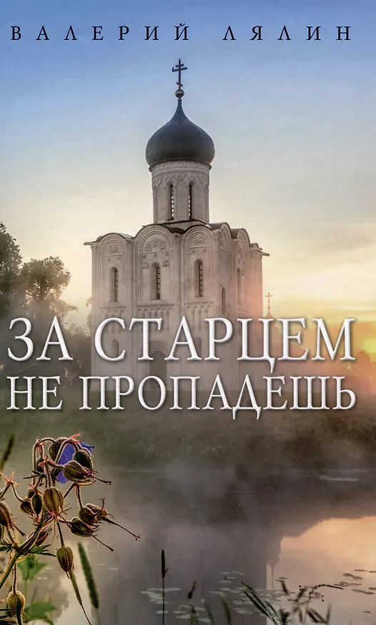 Книга Христианская жизнь: рассказы Валерия Лялина (комплект из 2-х книг) (Валерий Лялин) — 4