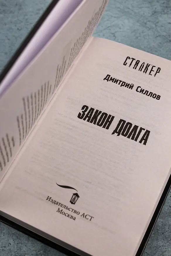 Книга Закон долга (Дмитрий Силлов) — 8