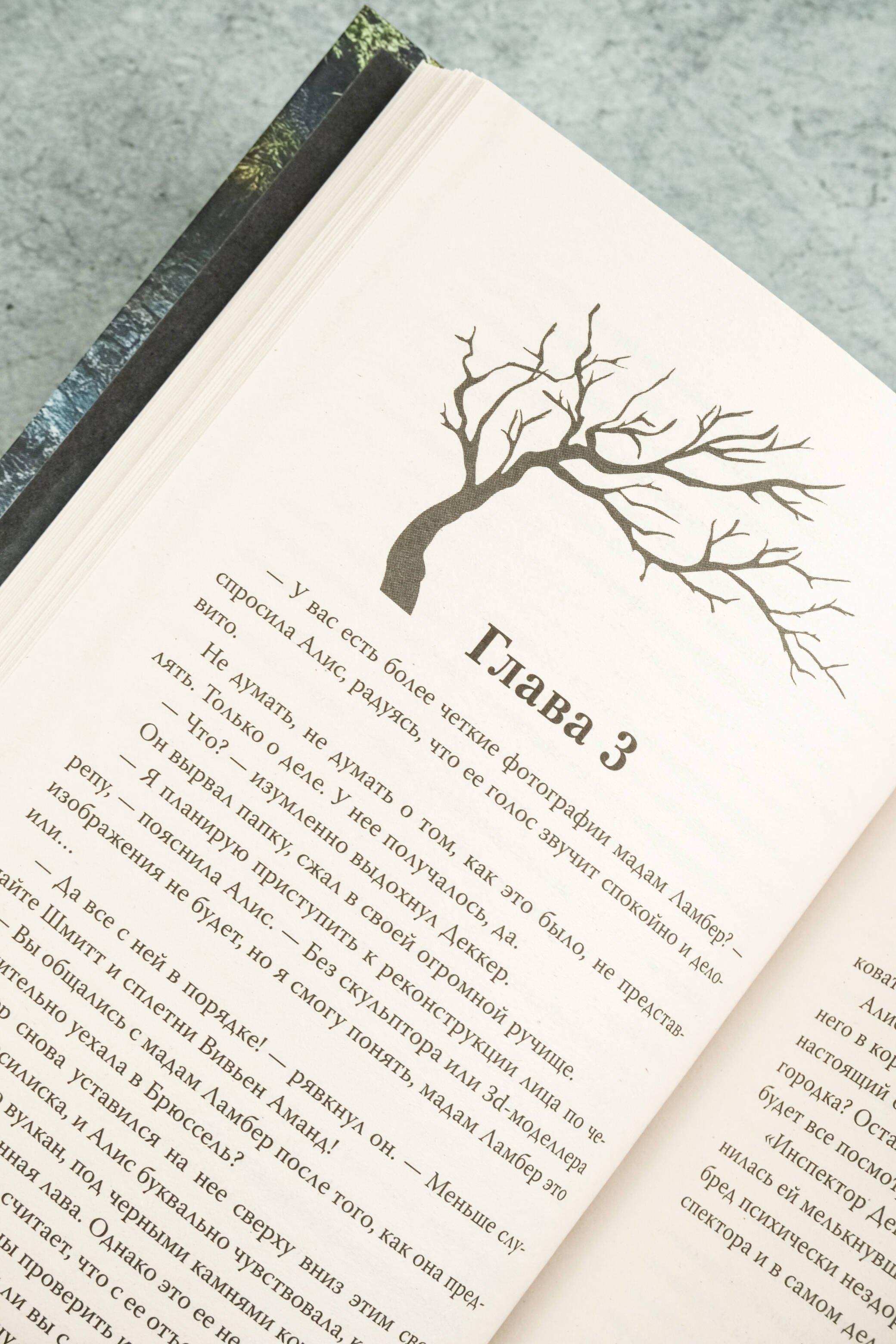 Изображение бумажной книги