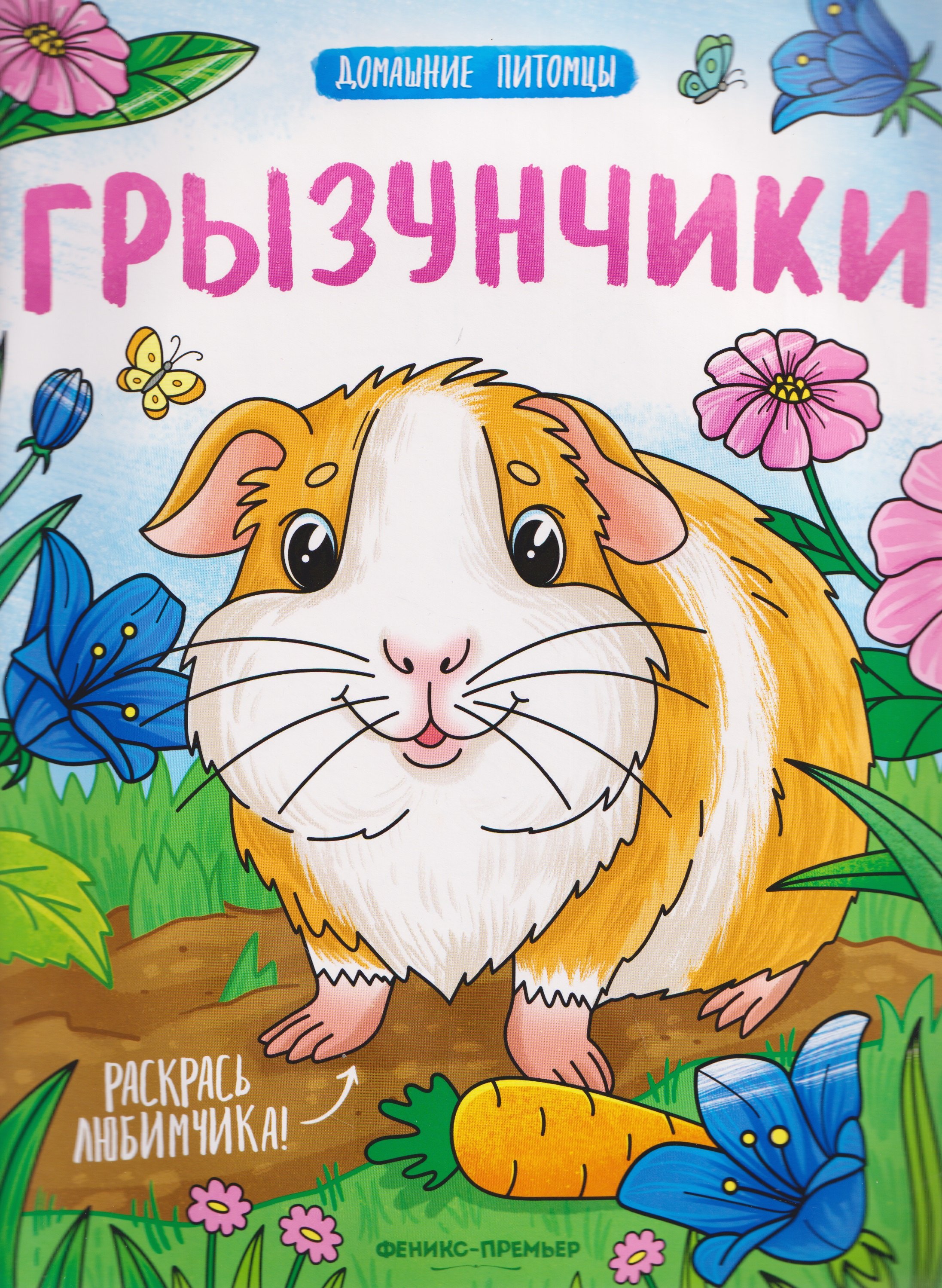 Грызунчики: книжка-раскраска