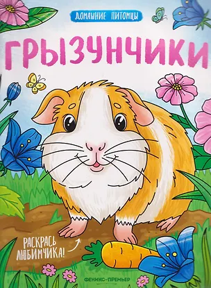 Книга Грызунчики: книжка-раскраска ()