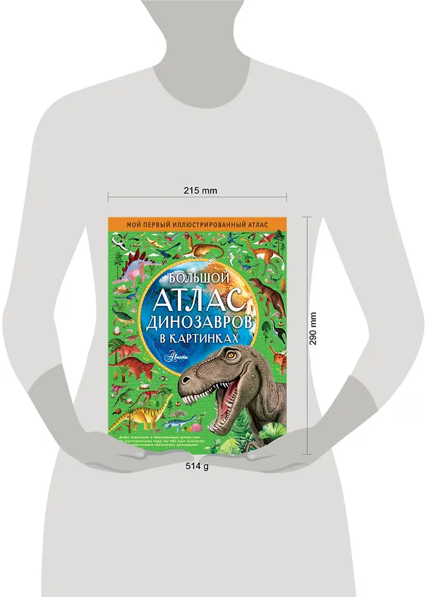 Книга Большой атлас динозавров в картинках (Эмили Хокинс) — 6