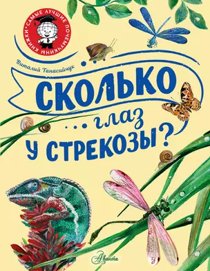 Сколько глаз у стрекозы? — 2965335 — 1