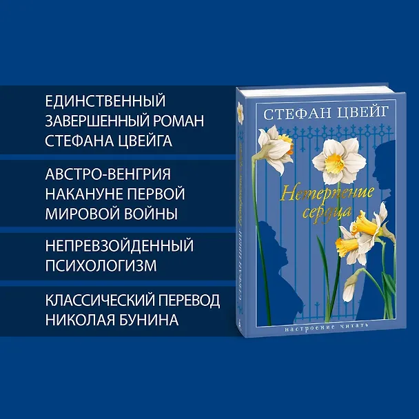 Книга Нетерпение сердца (Стефан Цвейг) — 6