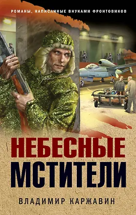 Книга Небесные мстители (Владимир Каржавин)