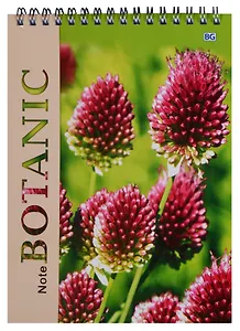 Блокнот А5 60 листов клетка "Botanic"