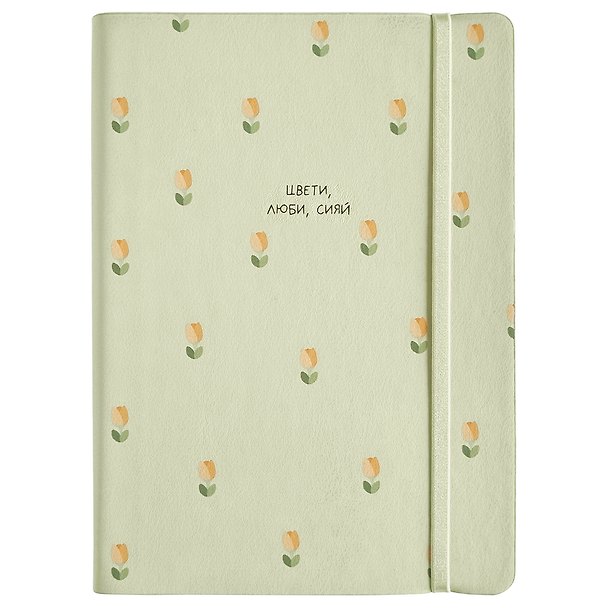 Ежедневник дат. 2027г. А5 176л 140*200 "Allure" салатовый, иск.кожа, мягк.переплет, кармашек, 2 ляссе, резинка, скругл.углы 3172350 — 1